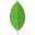MongoDB